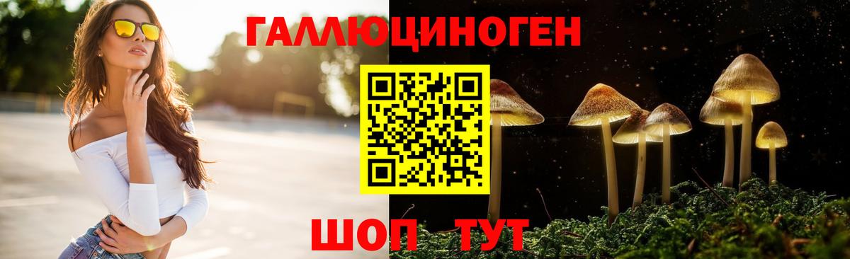 Киселёвск  Псилоцибиновые грибы Psilocybe  Галлюциногенные грибы ЛСД  Вход с VPN 